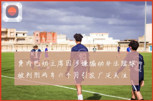 费内巴切主席因涉嫌煽动非法赌球被判刑两年六个月引发广泛关注